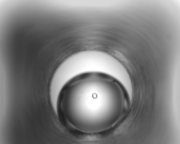 X0000089450405200706221251