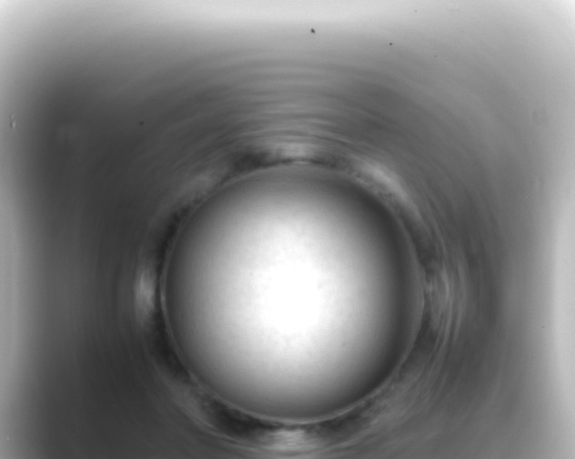 X0000089450406200706221251
