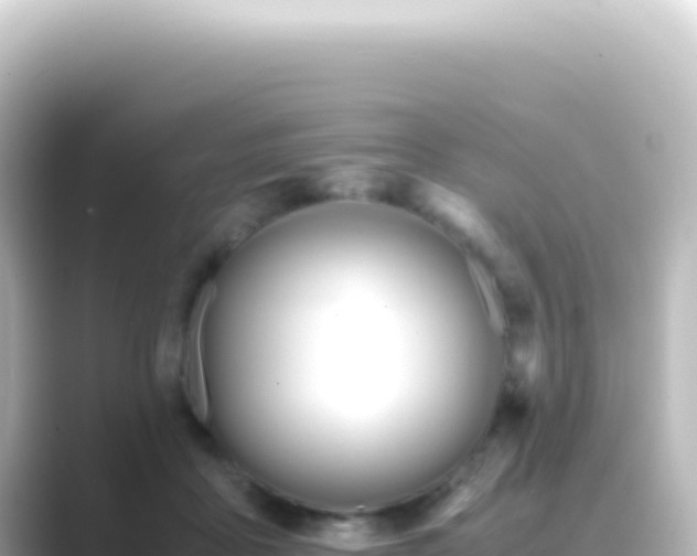 X0000089450411200706221250
