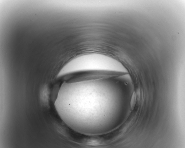 X0000089450412200706221250