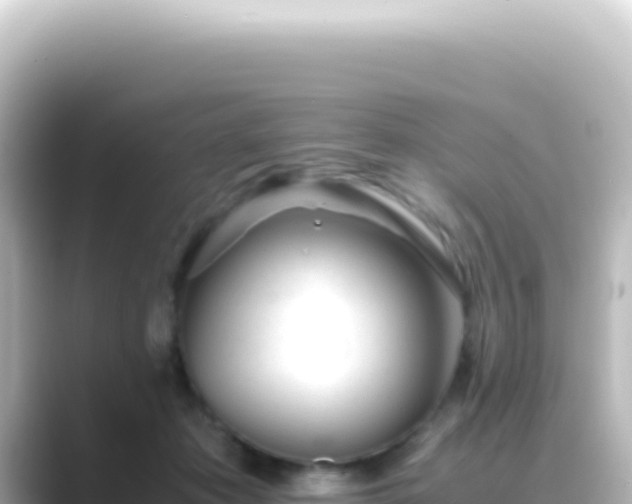 X0000089450413200706221250