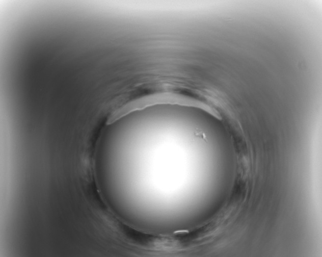 X0000089450415200706221250