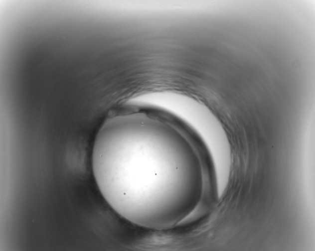 X0000089450416200706221250