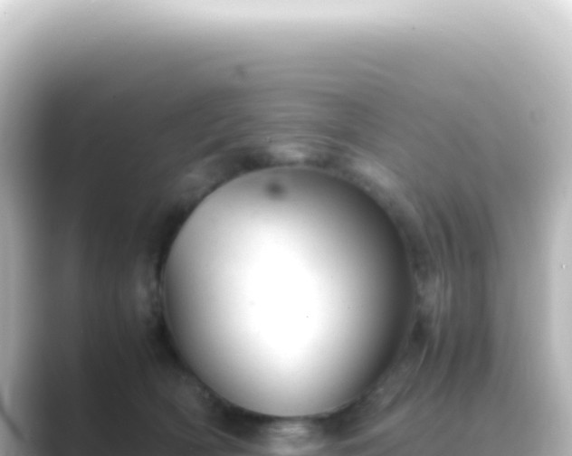 X0000089450418200706221250