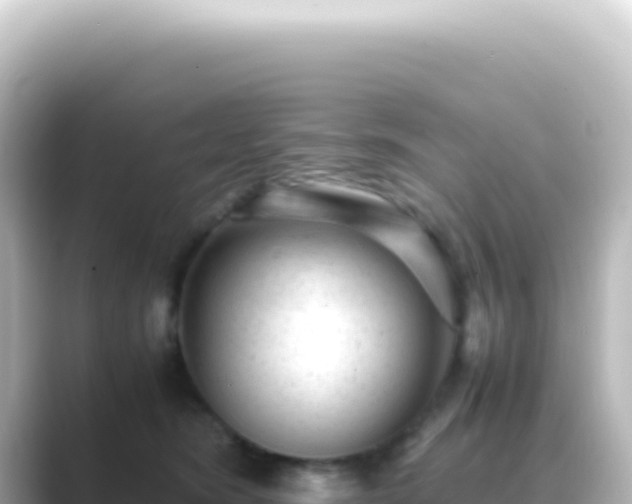 X0000089450420200706221250