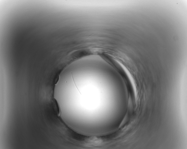 X0000089450421200706221250