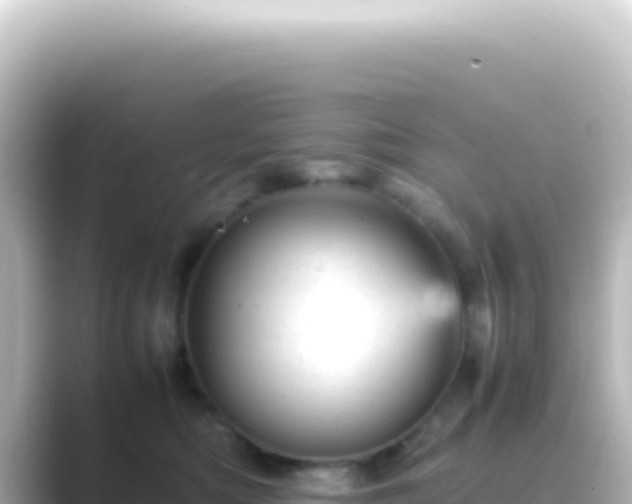 X0000089450422200706221250