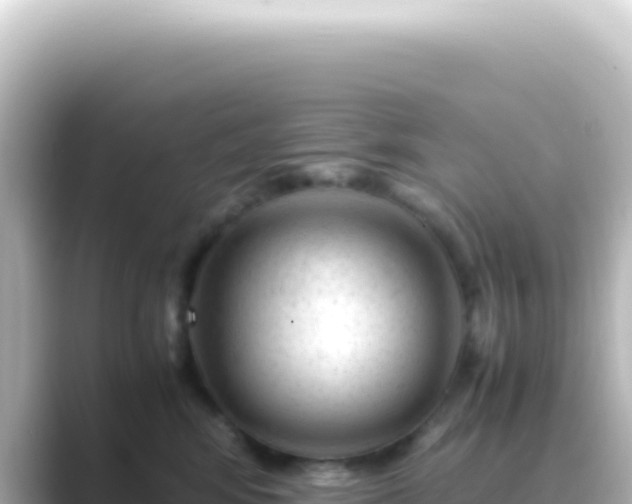 X0000089450424200706221250