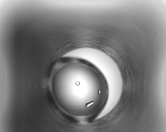 X0000089450425200706221250