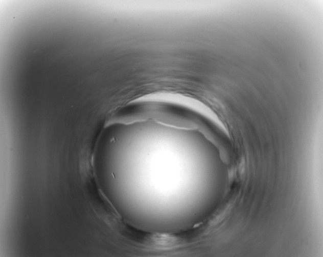 X0000089450429200706221250