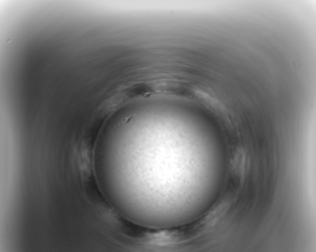 X0000089450430200706221250