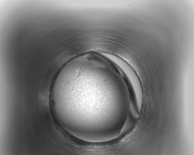 X0000089450434200706221250
