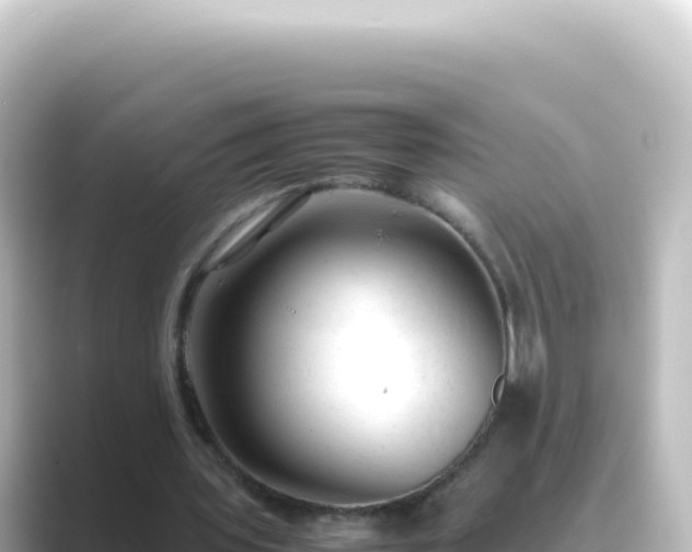 X0000089450435200706221250