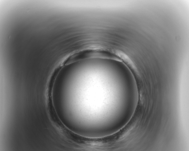 X0000089450436200706221250