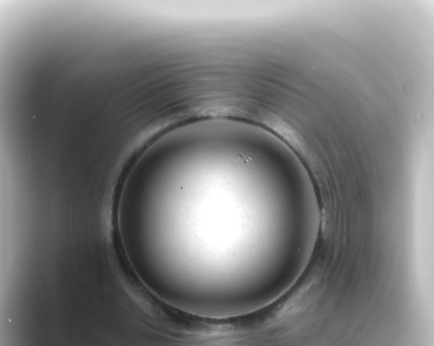 X0000089450438200706221250