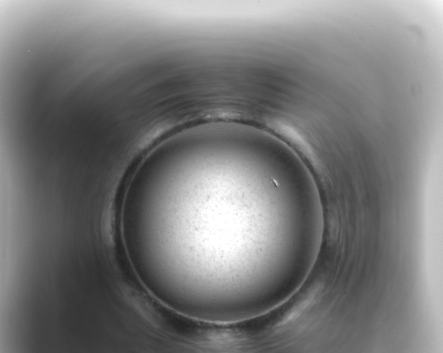 X0000089450439200706221250