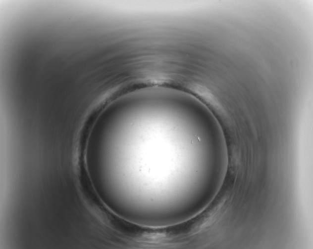 X0000089450440200706221250