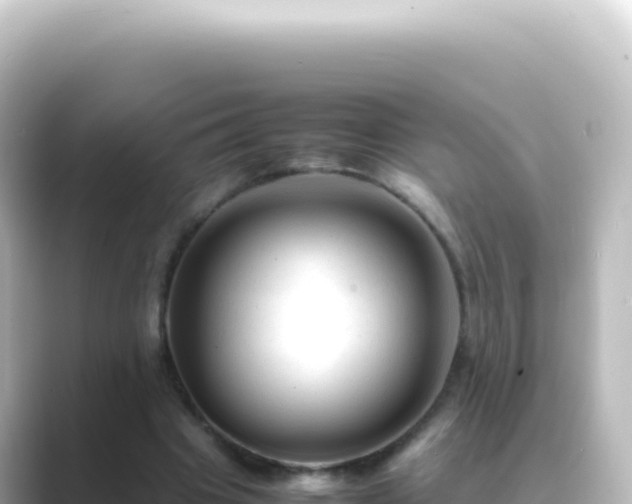 X0000089450441200706221250