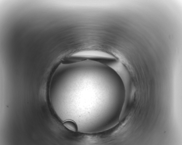X0000089450442200706221250