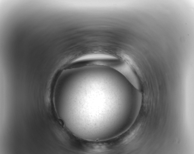 X0000089450443200706221250