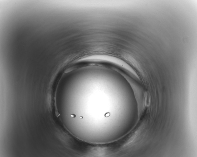 X0000089450444200706221250