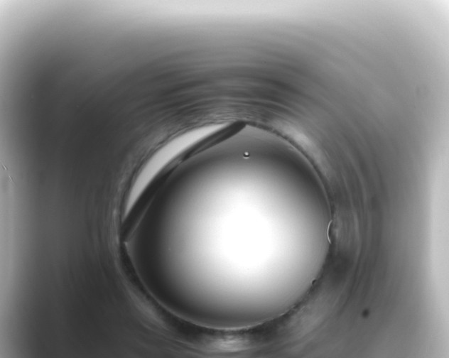 X0000089450445200706221250