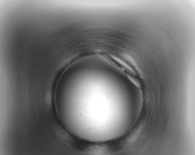 X0000089450447200706221250