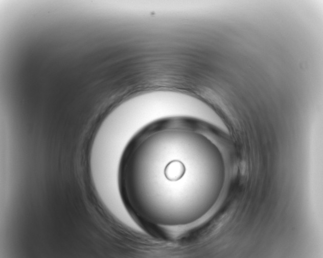 X0000089450448200706221250