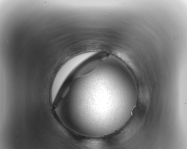 X0000089450449200706221250