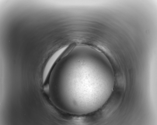 X0000089450450200706221250