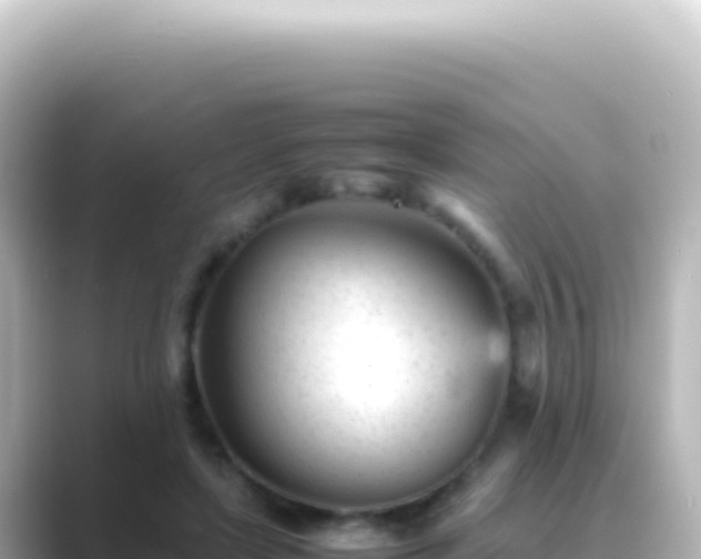 X0000089450451200706221250