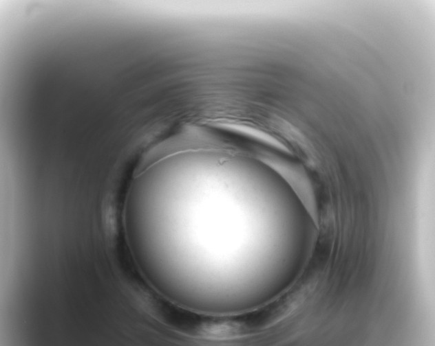 X0000089450452200706221250