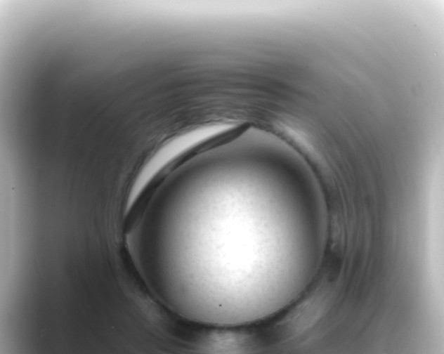 X0000089450453200706221250