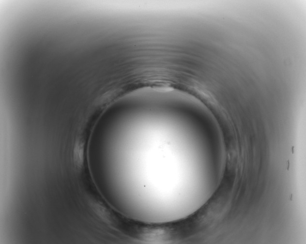 X0000089450454200706221250