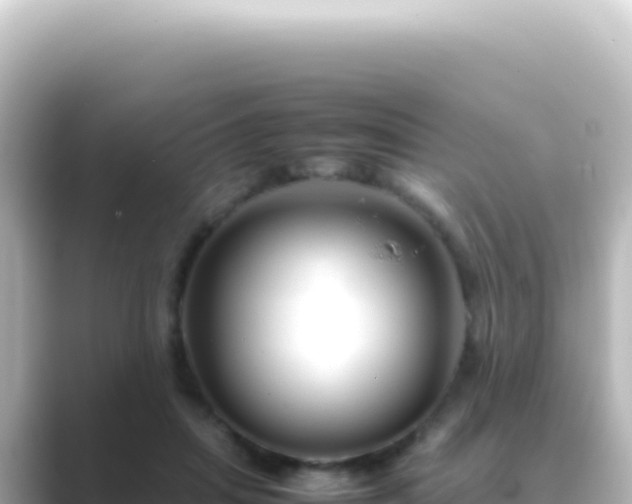 X0000089450455200706221250
