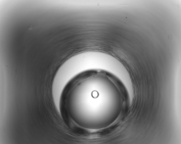 X0000089450456200706221250