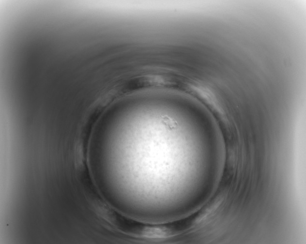 X0000089450457200706221250
