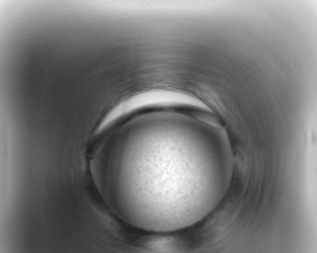 X0000089450458200706221250
