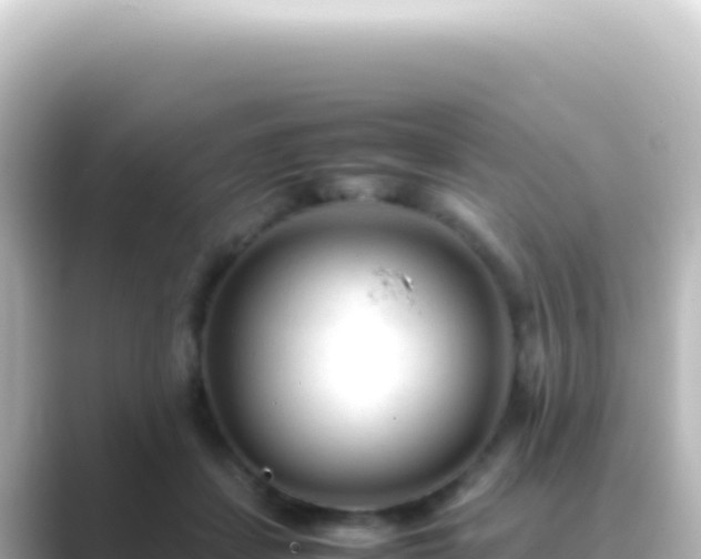 X0000089450459200706221250