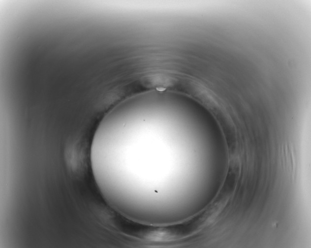 X0000089450460200706221250
