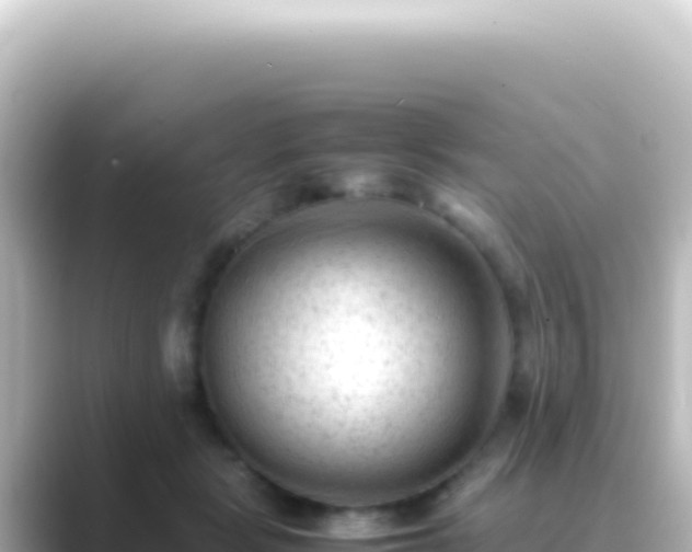 X0000089450461200706221250