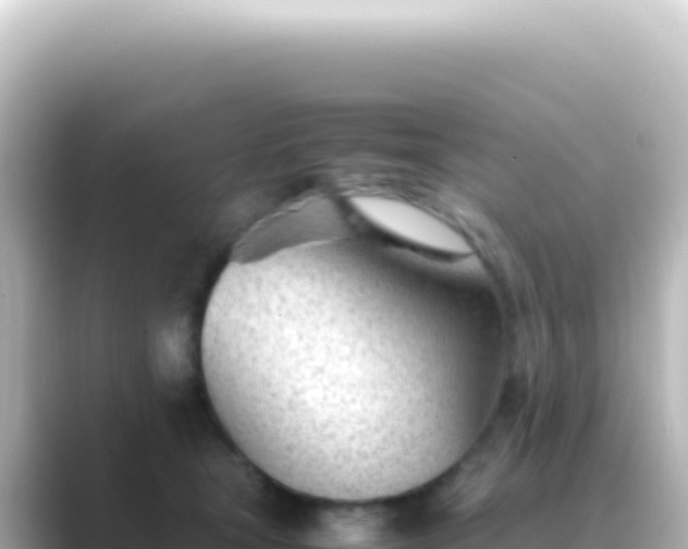 X0000089450465200706221250