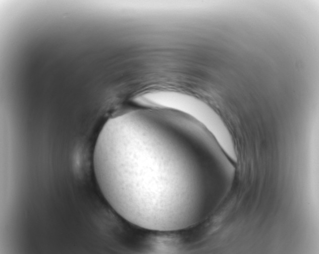 X0000089450466200706221250