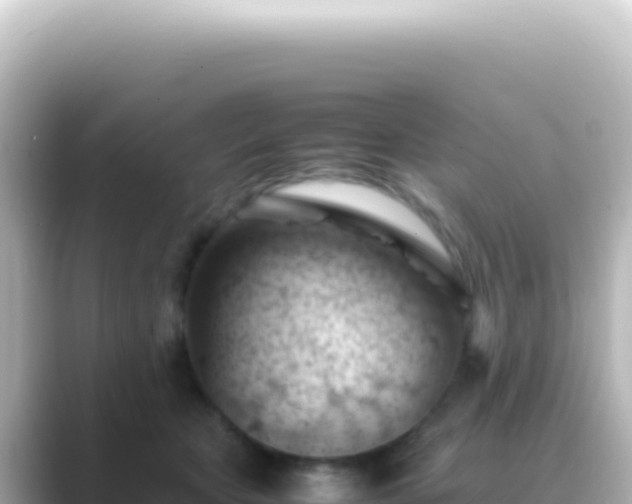 X0000089450467200706221250