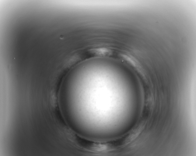 X0000089450469200706221250