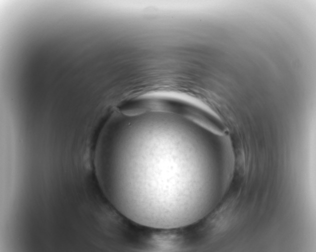 X0000089450470200706221250