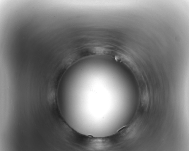 X0000089450473200706221250