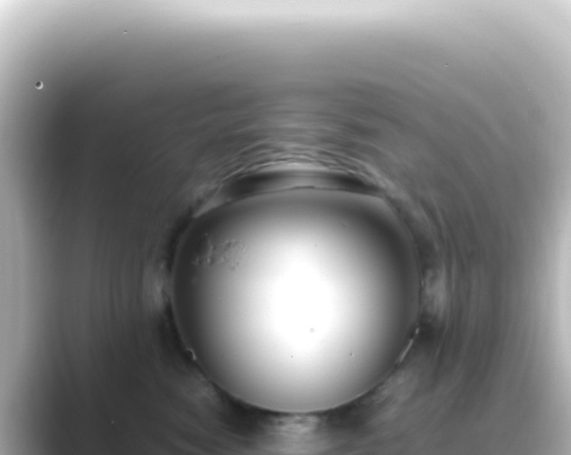 X0000089450474200706221250