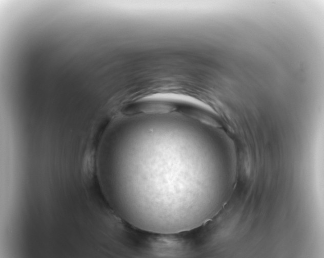 X0000089450475200706221250