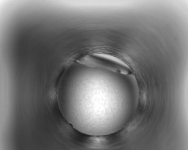 X0000089450477200706221250